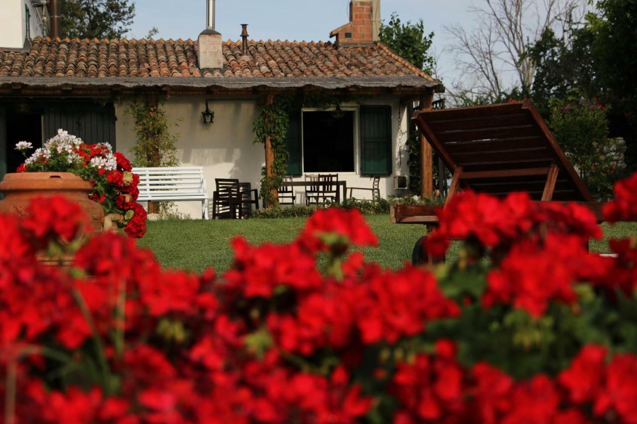 فيلا Casa S.Paolo ريميني المظهر الخارجي الصورة